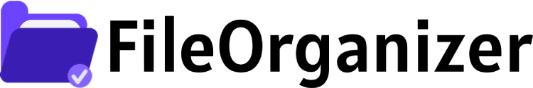 FileOrganizer Pro